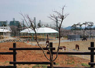 가 볼 만한 전국 승마장 10선