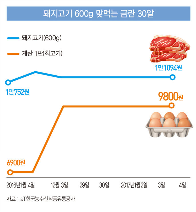 [인포그래픽] 돼지고기 600g 맞먹는 금란(金卵) 30알