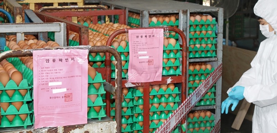 “‘살충제 계란’ 49개 농장서 확인…친환경 인증 개선 등 안전관리 강화”